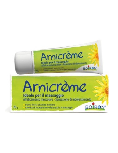 Arnicreme Crema 70 G