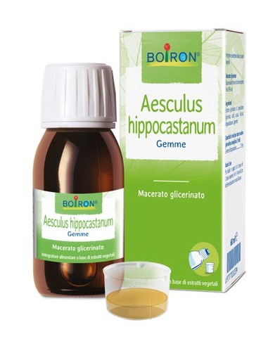 Aesculus Hippocastanum Macerato Glicerico 60 Ml Int