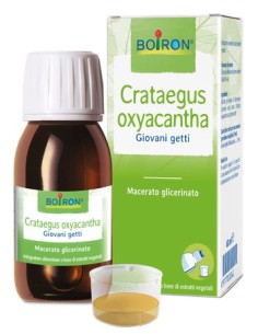 Crataegus Oxyacantha Macerato Glicerico 60 Ml Int
