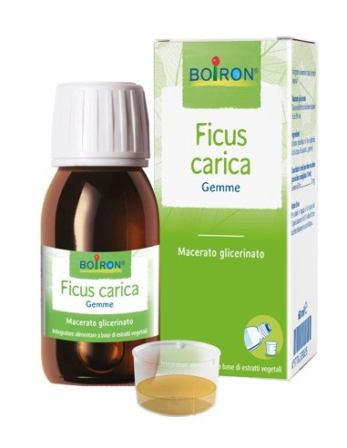 Ficus Carica Gemme Macerato Glicerinato 60 Ml Int