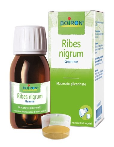 Ribes Nigrum Macerato Glicerico 60 Ml Int