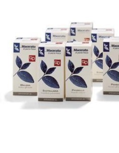 Ginkgo Biloba 50 Ml Tintura Madre