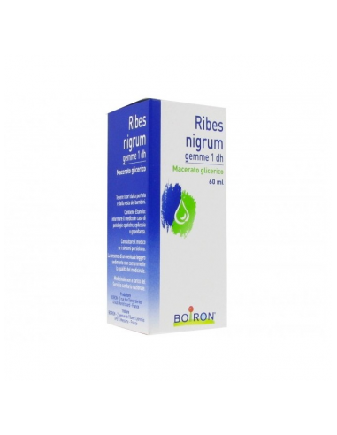 Ribes Nigranulium Tintura Madre 60 Ml