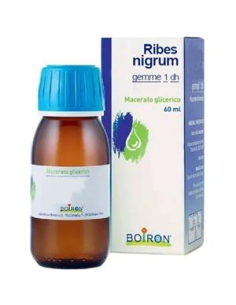 Ribes Nigranulium Gemme Macerato Glicerico 60 Ml