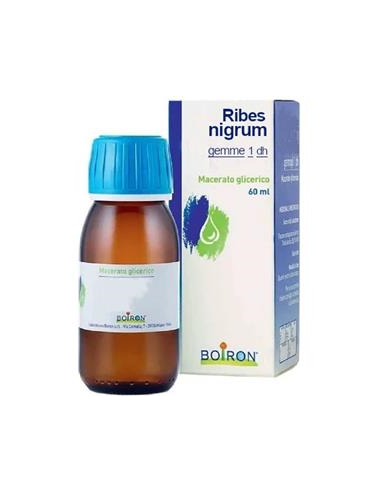 Ribes Nigranulium Gemme Macerato Glicerico 60 Ml