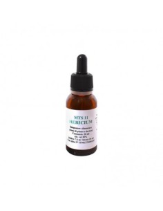 Mts11 Hericium Gocce 20 Ml