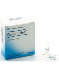 Heel Galium 10 Fiale Da 1,1 Ml L'una