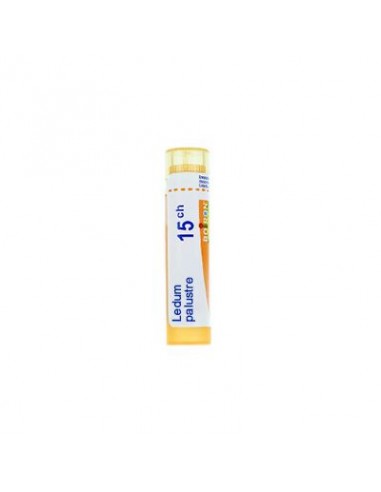 Arsenicum Album 9ch Granuli