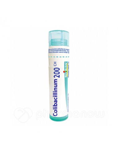Colibacillinum 200ch Globuli