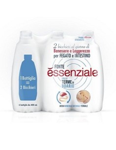 Fonte Essenziale Pet 6 X 400 Ml