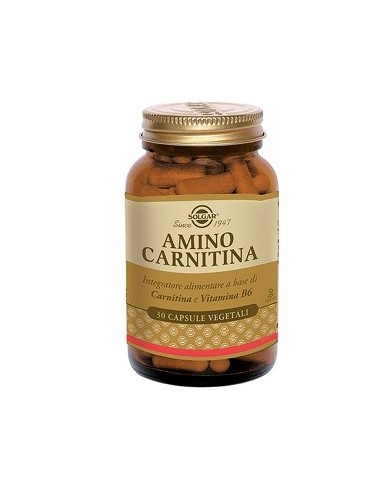 Amino Carnitina 30 Capsule