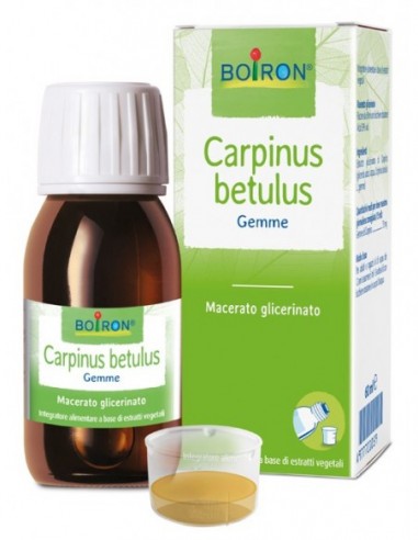 Carpinus Betulus Macerato Glicerico 60 Ml Int