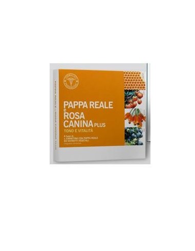 Pappa Reale Rosa Canina 10 Flaconcini 10 Ml