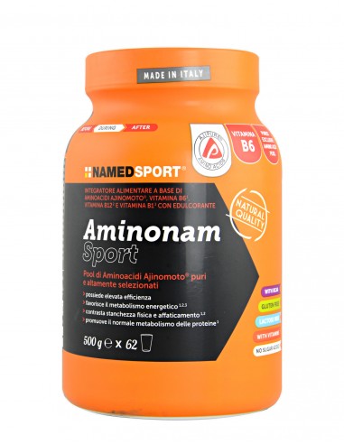 Aminonam Sport Polvere Barattolo 500 G