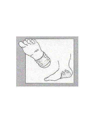 Medicazione Ligasano Lastra 200x100x1cm 2 Pezzi