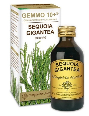 Gemmo 10+ Sequoia 100 Ml Liquido Analcolico