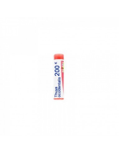 Thuya Occidentalis 200k Globuli