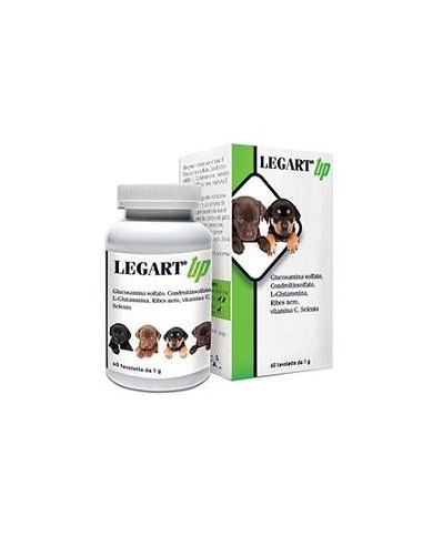 Legart Up 60 Compresse Da 1 G