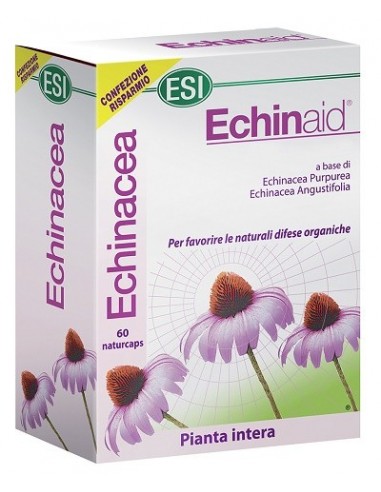 Echinaid 60 Capsule