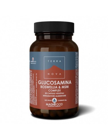 Terranova Complesso Di Glucosamina Boswellia E Msm 50 Capsule