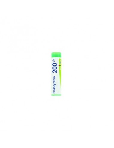 Colocynthis 200 Ch Globuli
