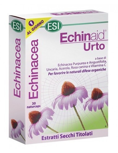 Echinaid Urto 30 Capsule