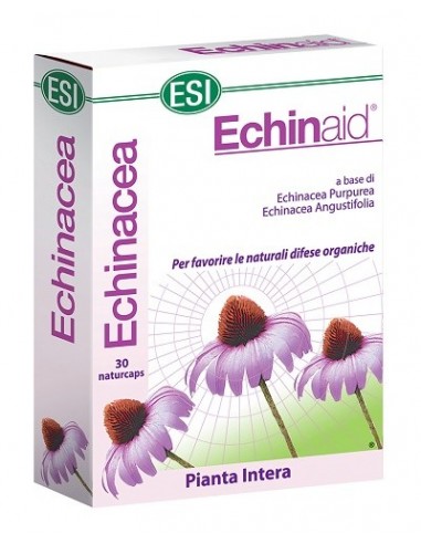 Echinaid 30 Capsule