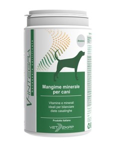 V-integra Cane Anziano 200 G