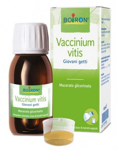 Vaccinium Vitis Macerato Glicerico 60 Ml Int
