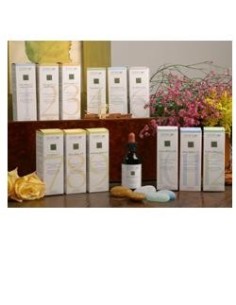 Zef05 Cisto Plant Stv