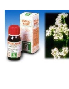 Valeriana 36 Tintura Madre 50 Ml