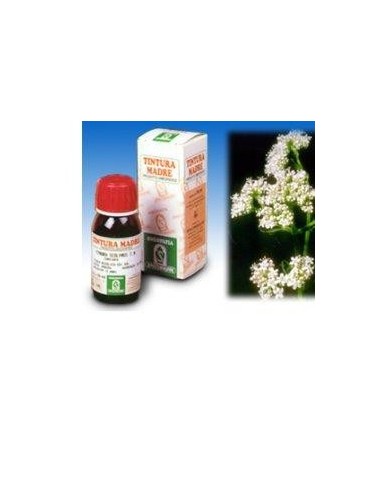 Valeriana 36 Tintura Madre 50 Ml