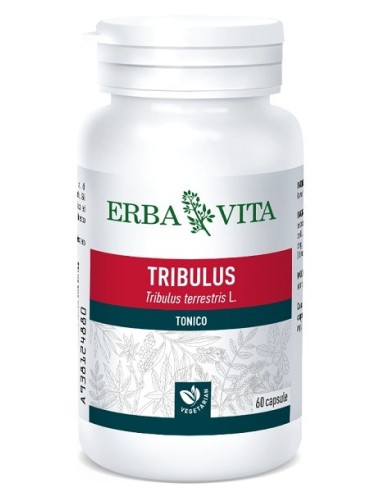 Tribulus Terrestris 60 Capsule 500 Mg