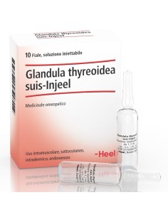 Heel Glandula Thyroidea Suis Injeel 10 Fiale