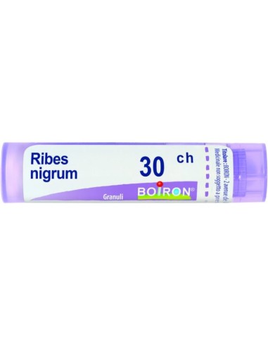 Ribes Nigrum 30ch Granuli