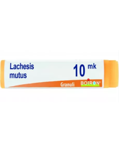 Lachesis Mutus Xmk Globuli