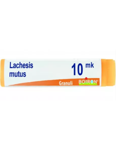 Lachesis Mutus Xmk Globuli