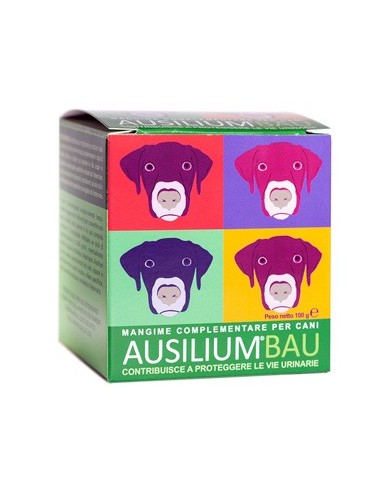 Ausilium Bau 100 G