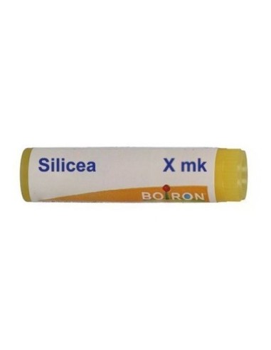 Silicea Xmk Globuli