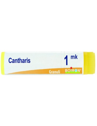 Cantharis Mk Gl