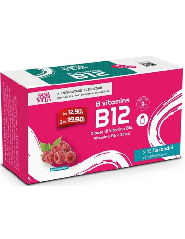 Sanavita B Vitamins B12 15 Flaconcini