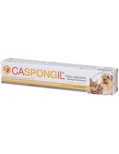 Caspongil Pasta 30 G