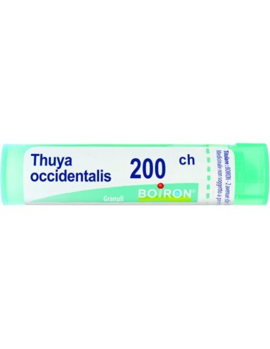 Thuya Occidentalis 200 Ch Granuli