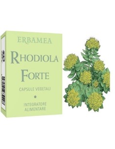 Rhodiola Forte 24 Capsule