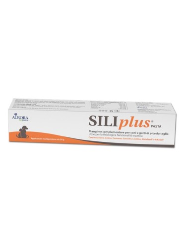 Siliplus Pasta 30 G