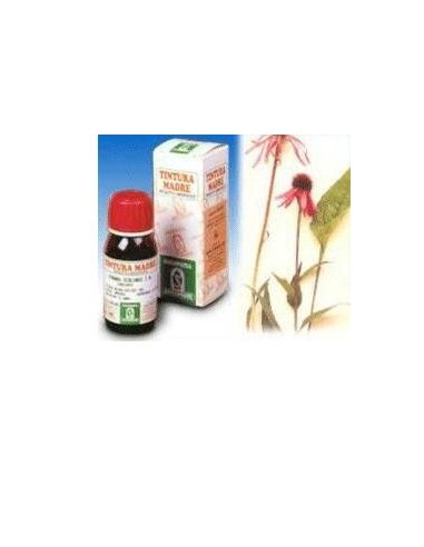 Echinacea 59 50ml Tm