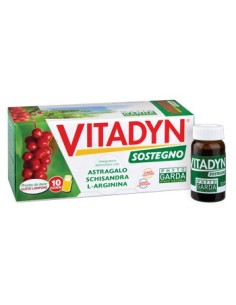 Vitadyn Sostegno 10 Flaconcini 10 Ml