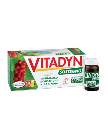 Vitadyn Sostegno 10 Flaconcini 10 Ml