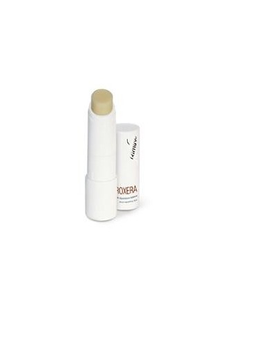 Proxera Stick Riparator Labbra