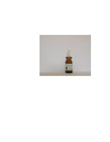 Sidea Staminali Mela Siero Concentrato 10 Ml